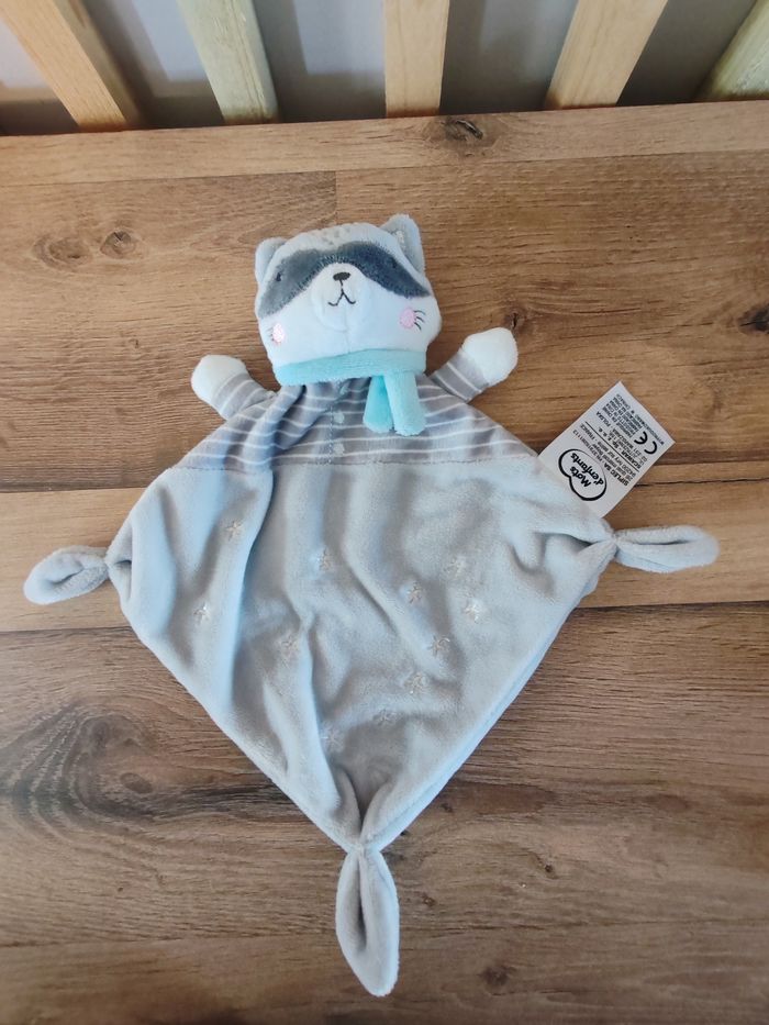 Raton laveur mots d enfants gris et bleu