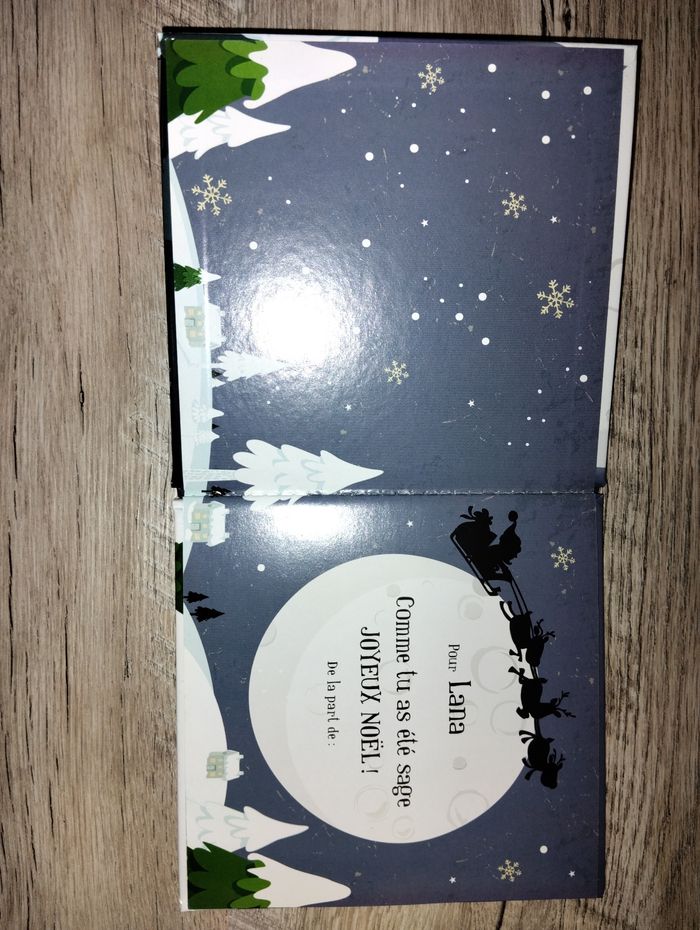 Livre Lana le père Noël a besoin de toi - photo numéro 3