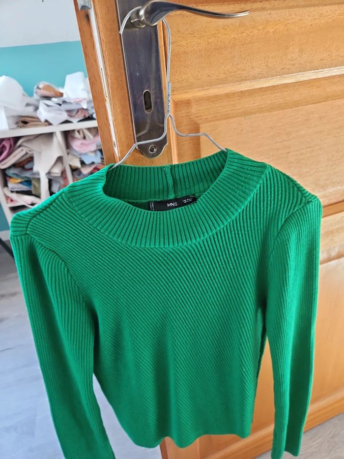 Pull mango - photo numéro 2