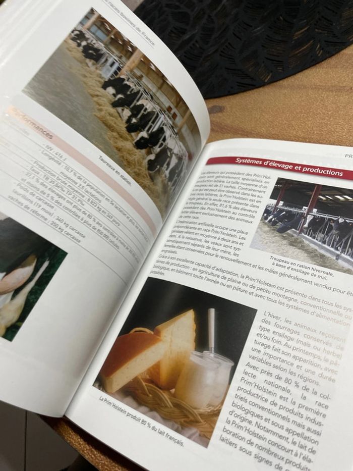 Livre 1ere terminale race bovine de France - photo numéro 4