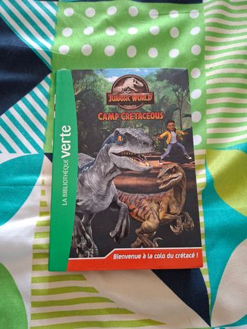 Livre enfant Jurassic Word camp cretaceous