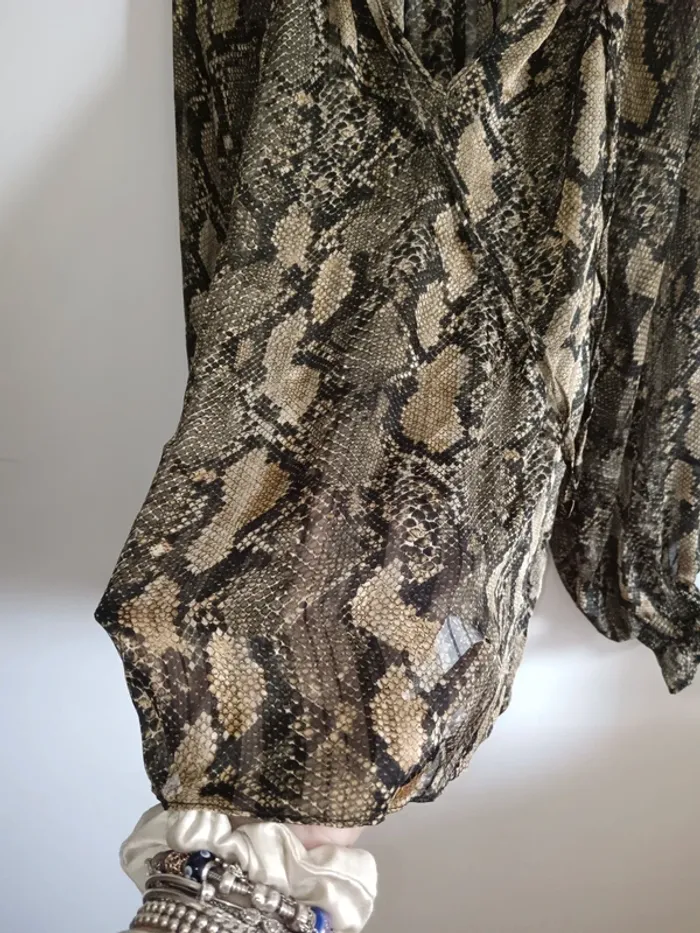 Blouse transparente - photo numéro 5