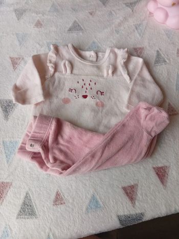 Pyjama rose
