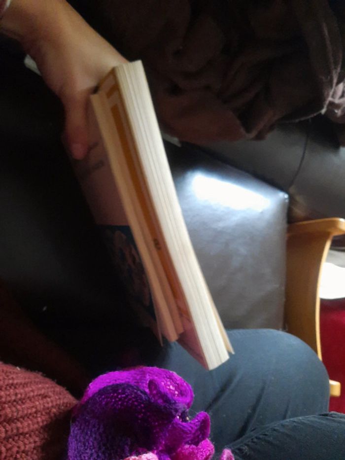 Vers un enseignement rénové de la langue française - photo numéro 11