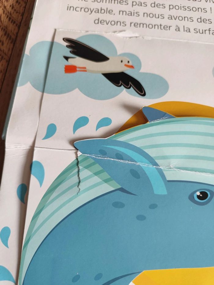 Animaux de la mer - photo numéro 7