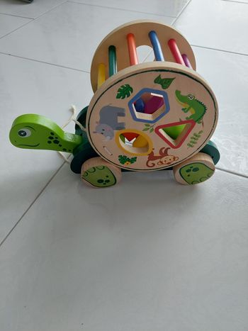 Tortue avec cube