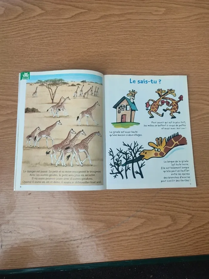 Livre youpi avec bricolo l'écolo protège les bébé arbres - photo numéro 8