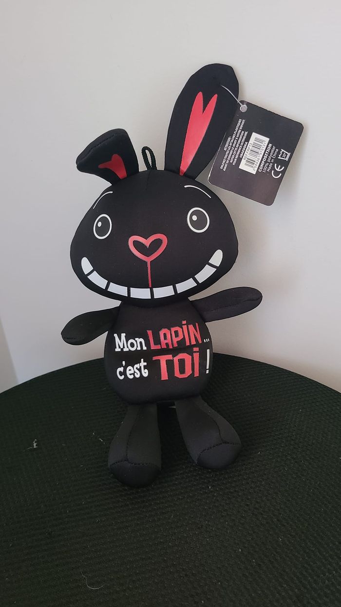doudou lapin - photo numéro 3