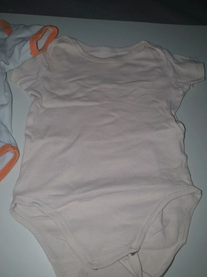 Lot 2 bodies T12M - photo numéro 3