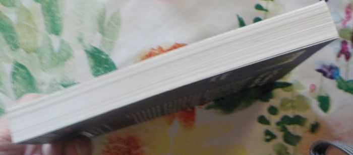 LE PECHEUR DE L'ILES AUX PIES de Gabriel VINET Ed. Liv'Poche - photo numéro 5