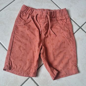 Short lion