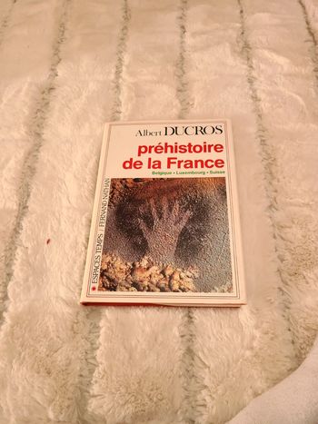 Préhistoire de la France