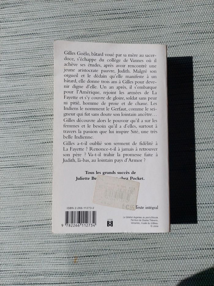 Le Gerfaut des brumes - tome 1 - photo numéro 2