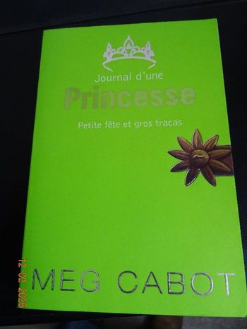 journal d'une princesse ,petite fête et gros tracas