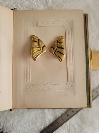 Clips vintage ailes de papillons 🦋