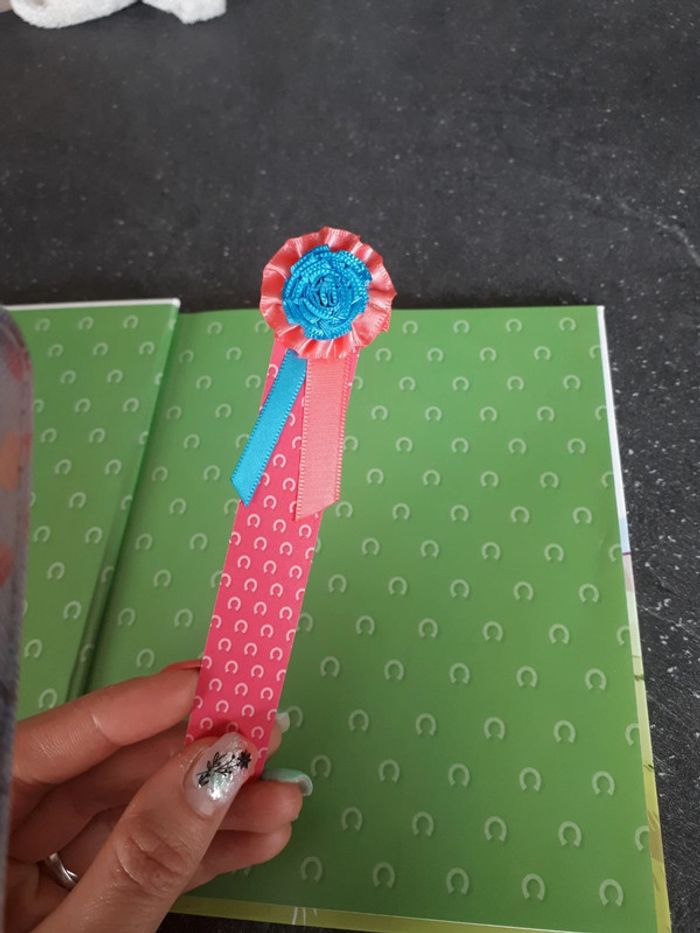 Livre état neuf aventures au poney-club, un poney au Far West - photo numéro 2