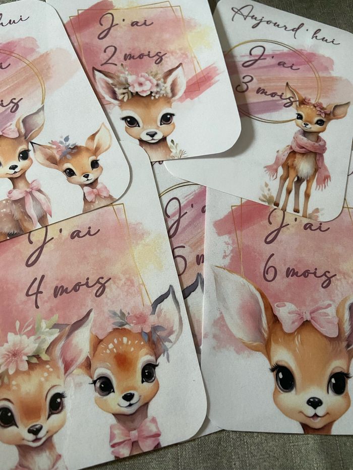 Carte étape Biche - photo numéro 2