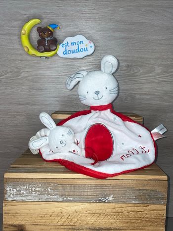 JEM42 doudou lapin 🐰 jemini