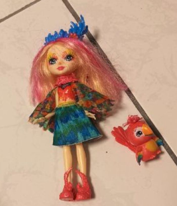 Enchantimals perroquet