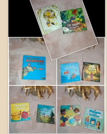 Lot livres mc Donald's