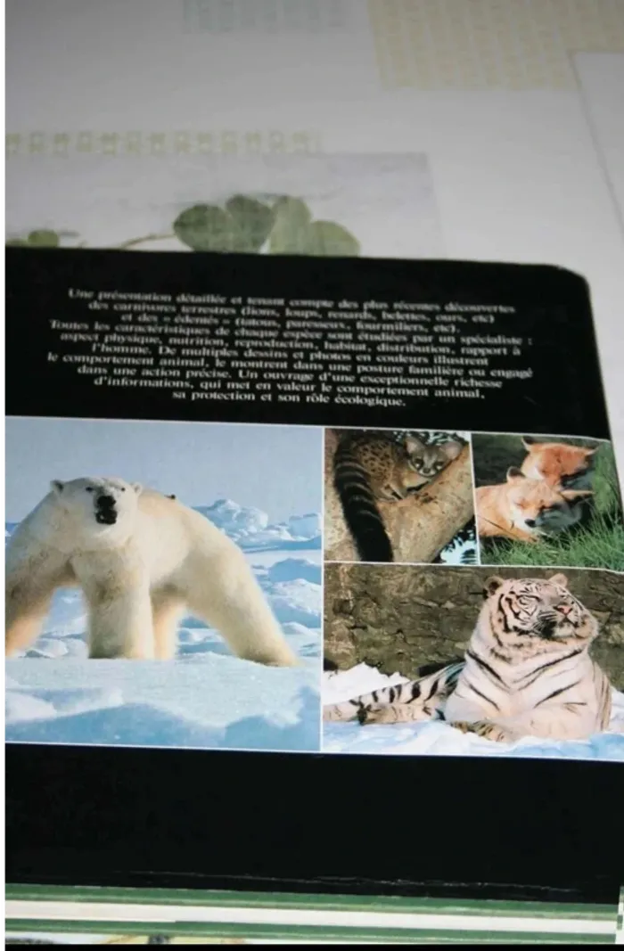 livre - photo numéro 4