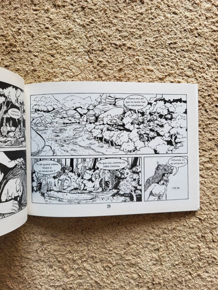 Lot de 2 BD Sathaden Tome 1 Le rite de passage et Tome 2 Le temple du corbeau - photo numéro 15