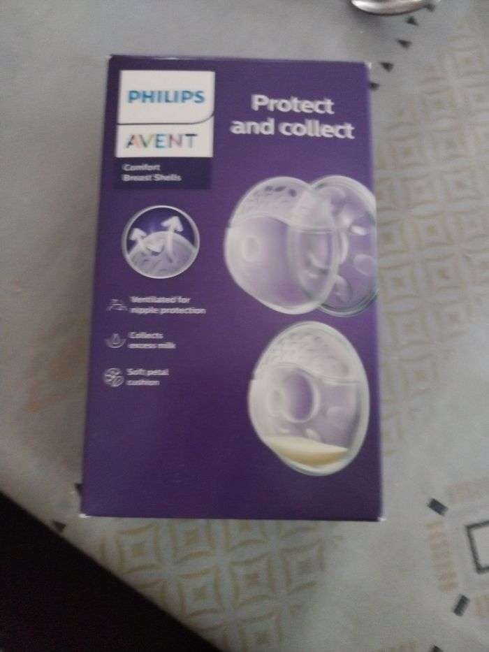 Coquilles protection - photo numéro 2