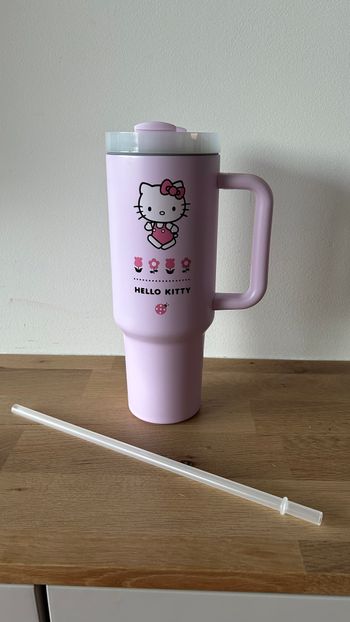 Gourde géante Isotherme Hello Kitty 1,2l avec Paille NEUF