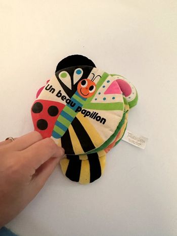 Beau papillon tourbillon