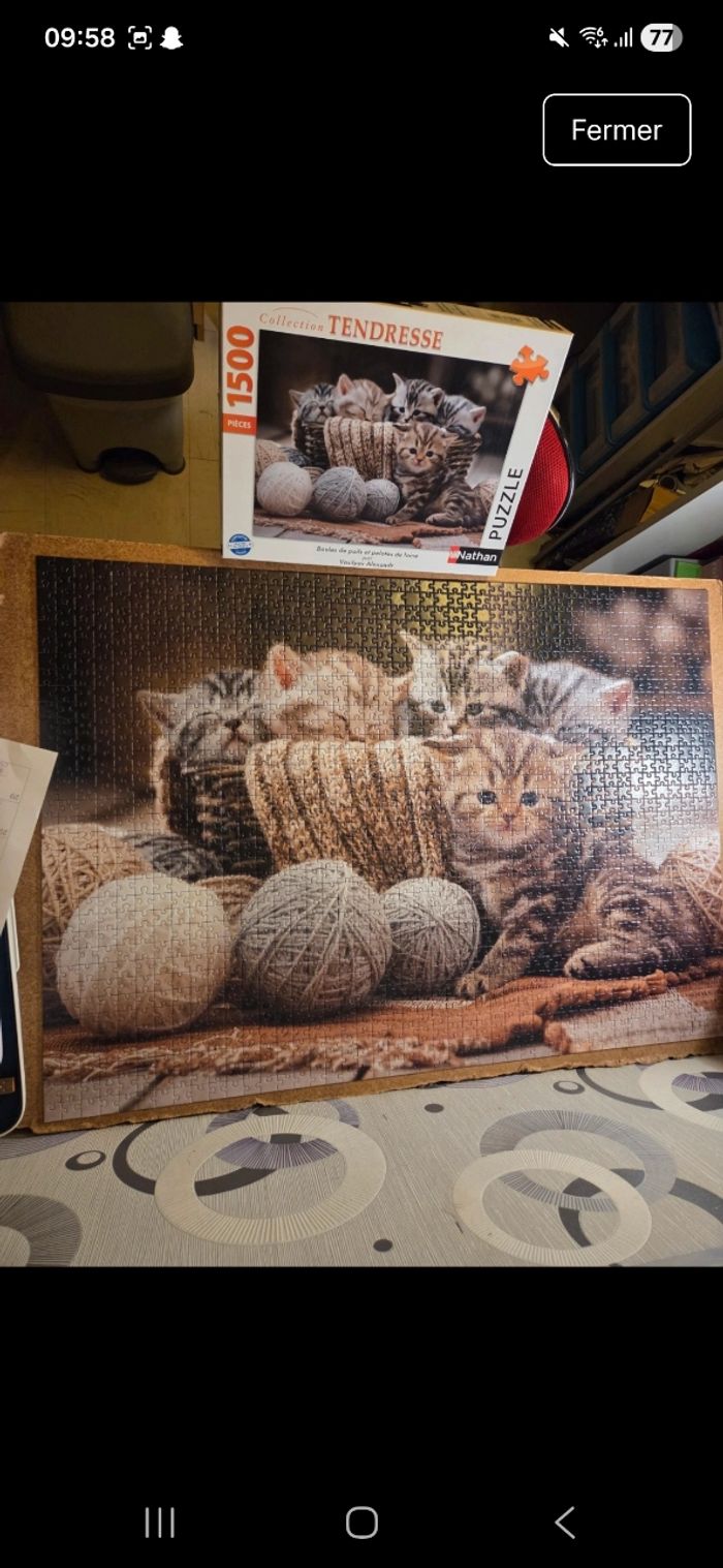 Puzzle 1500 pièces "Nathan"