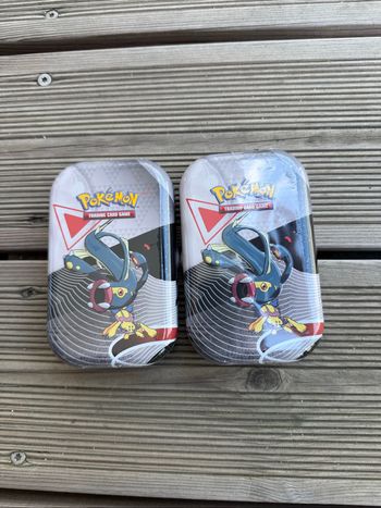 Lot de 2 minitins Pokémon ev10.5