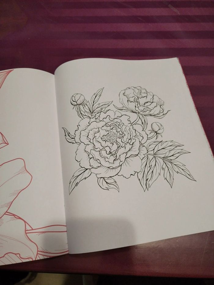 Carnet créatif 100 coloriage - photo numéro 16