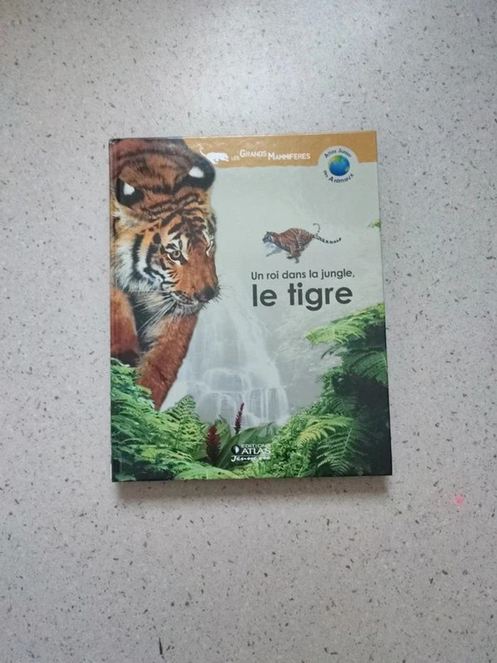Un roi dans la jungle, le tigre