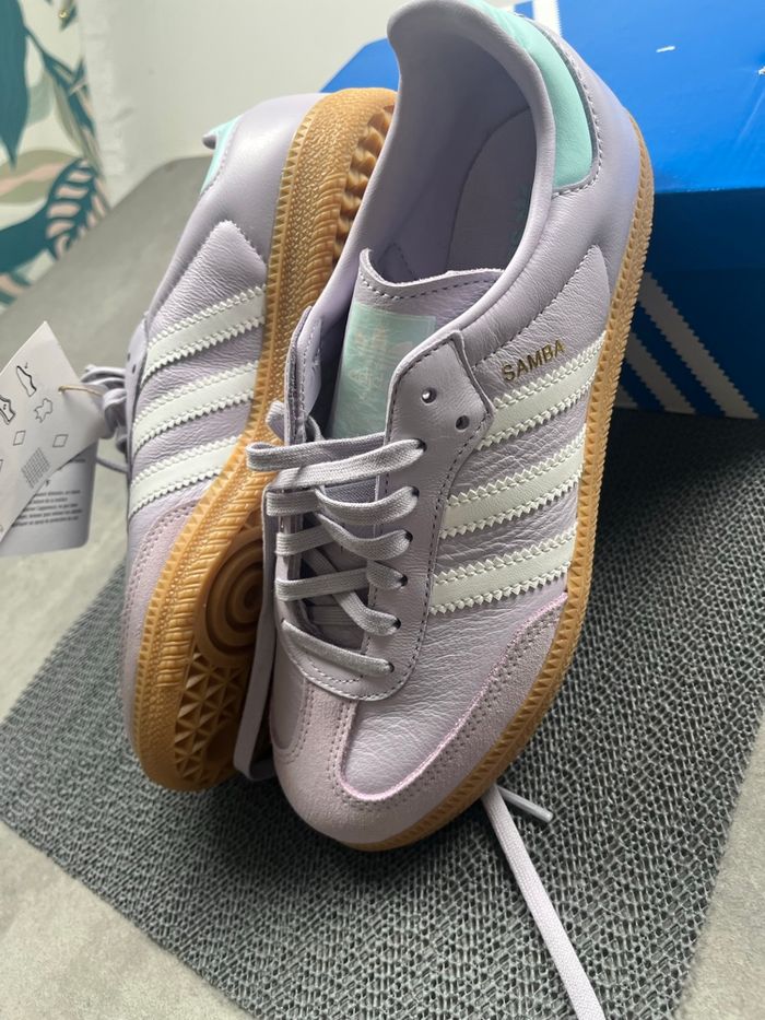 Samba rose - photo numéro 4