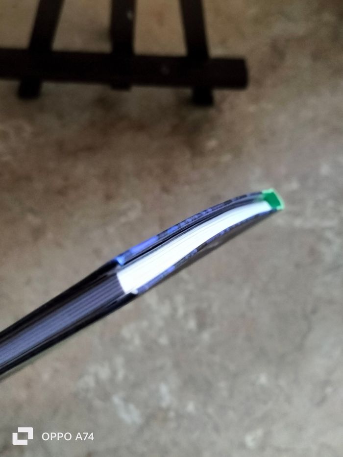 Livre Pokemon Soleil et Lune 🩷 Aventures à Alola - photo numéro 3