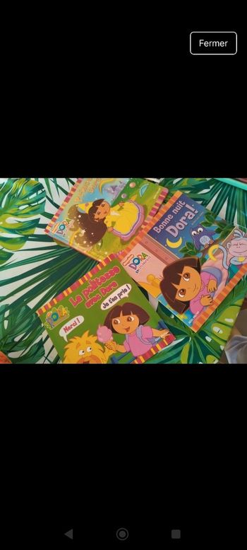 Lot de livres Dora