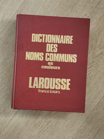 Dictionnaire des Noms Communs en couleurs – Larousse (France Loisirs)