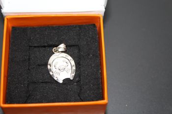 Pendentif argent "Cancer"