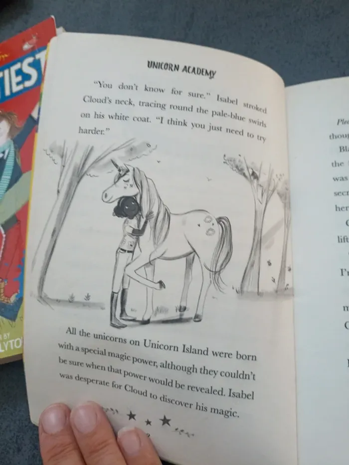 Unicorn academy - photo numéro 5