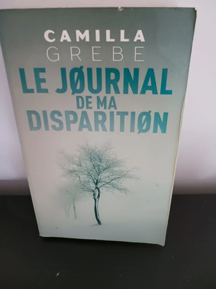 Roman Le journal de ma disparition