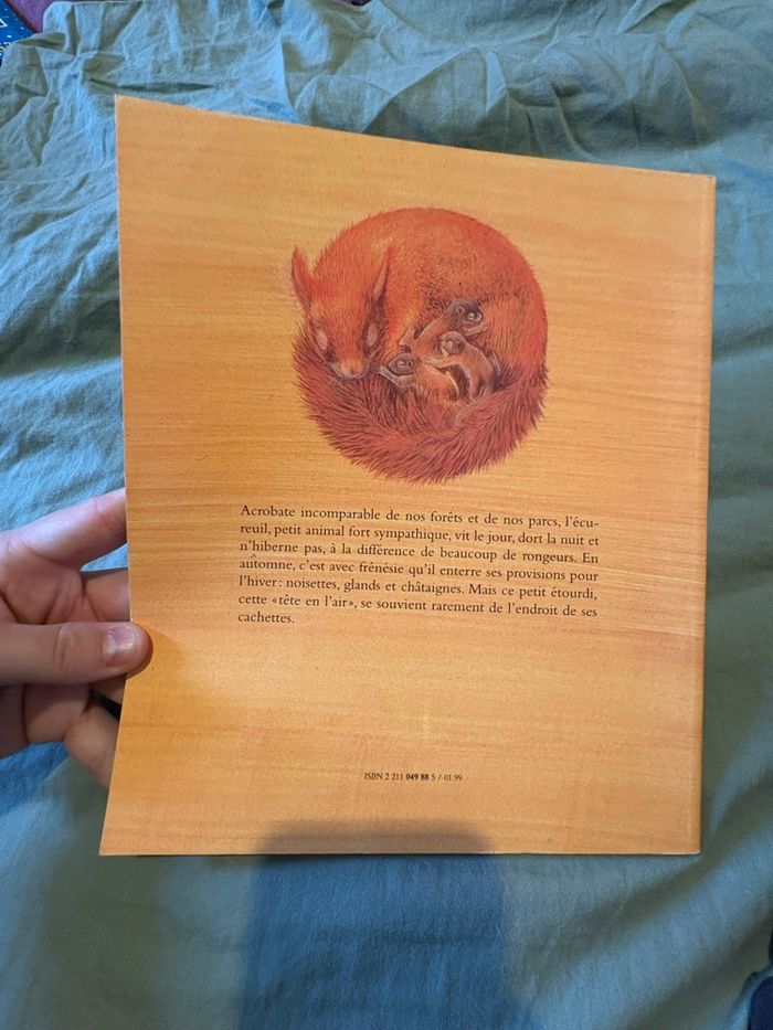 La tête en l’air - photo numéro 4