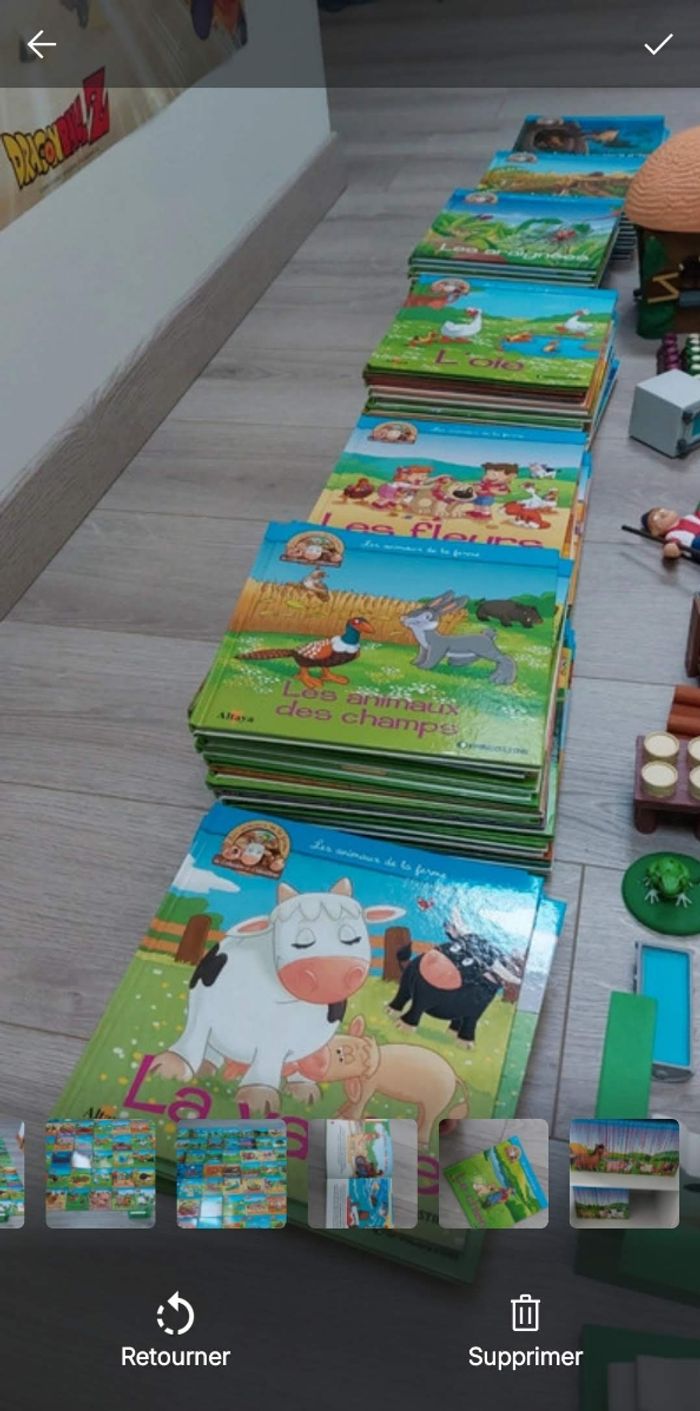 Collection livres et figurines les animaux de la ferme - photo numéro 3