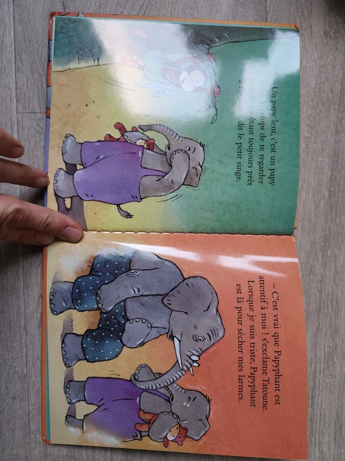 Livre Un papy ça sert à quoi ? - photo numéro 3