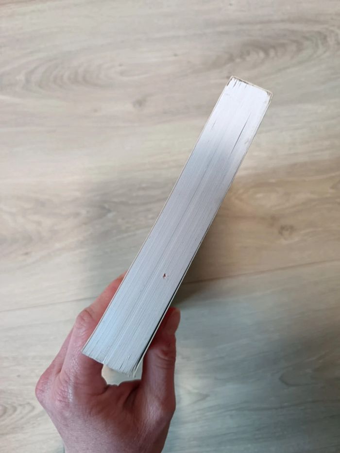 Japon Pluriel 4. Actes Du Quatrieme Colloque De La Societe Francaise Des Etudes Japonaises - photo numéro 7