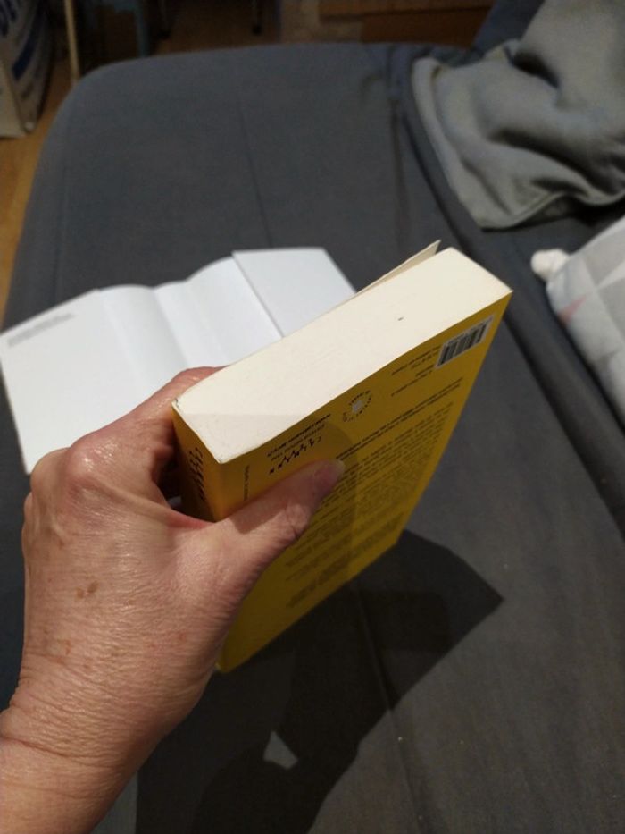 D'où vient l'amour d'Yann Queffelec - photo numéro 6