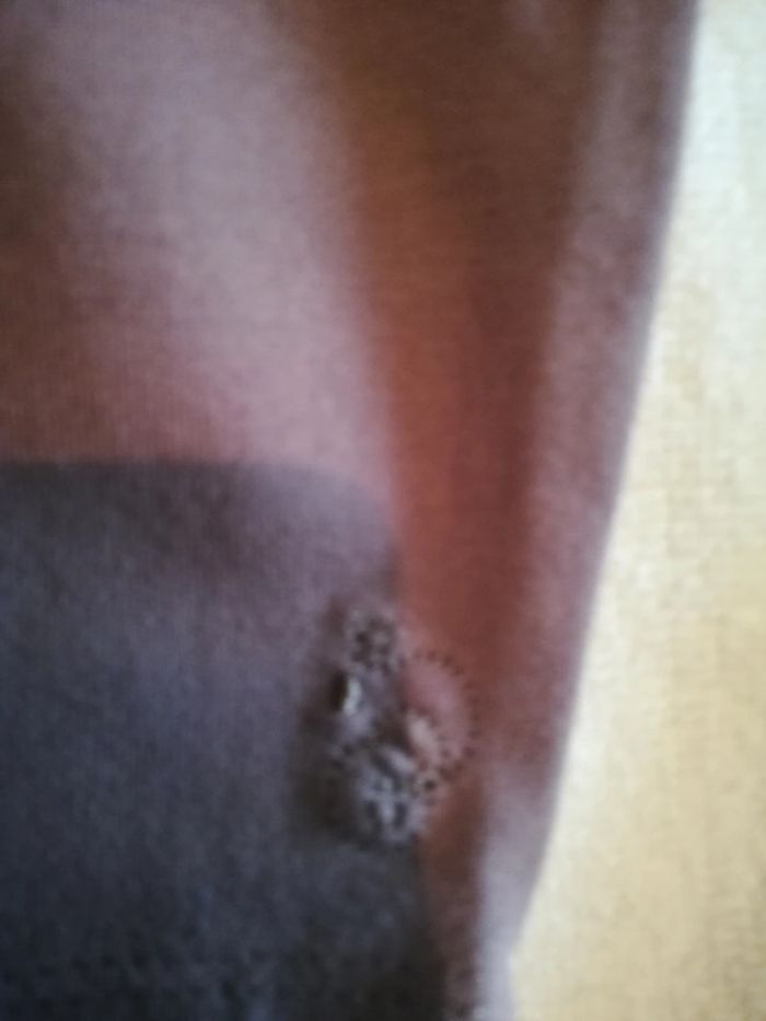 Ensemble in extenso 9 mois - photo numéro 4