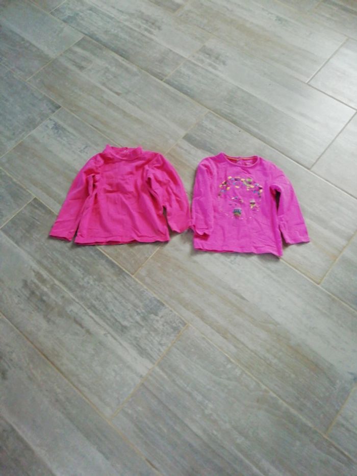 2 Hauts manches longues 23 mois fille
