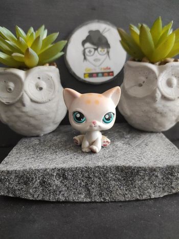 Lps Littlest Petshop Pet Shop chat Siamois 224 Siamese cat #geektradelpschat