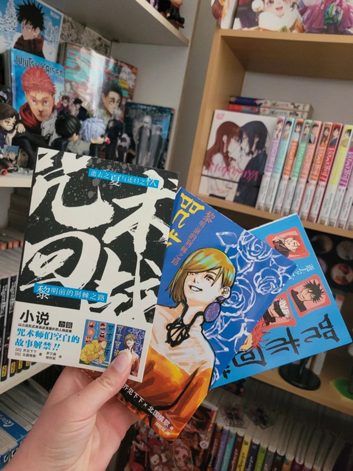 Intégrale en 2 tomes du roman du manga jujutsu kaisen