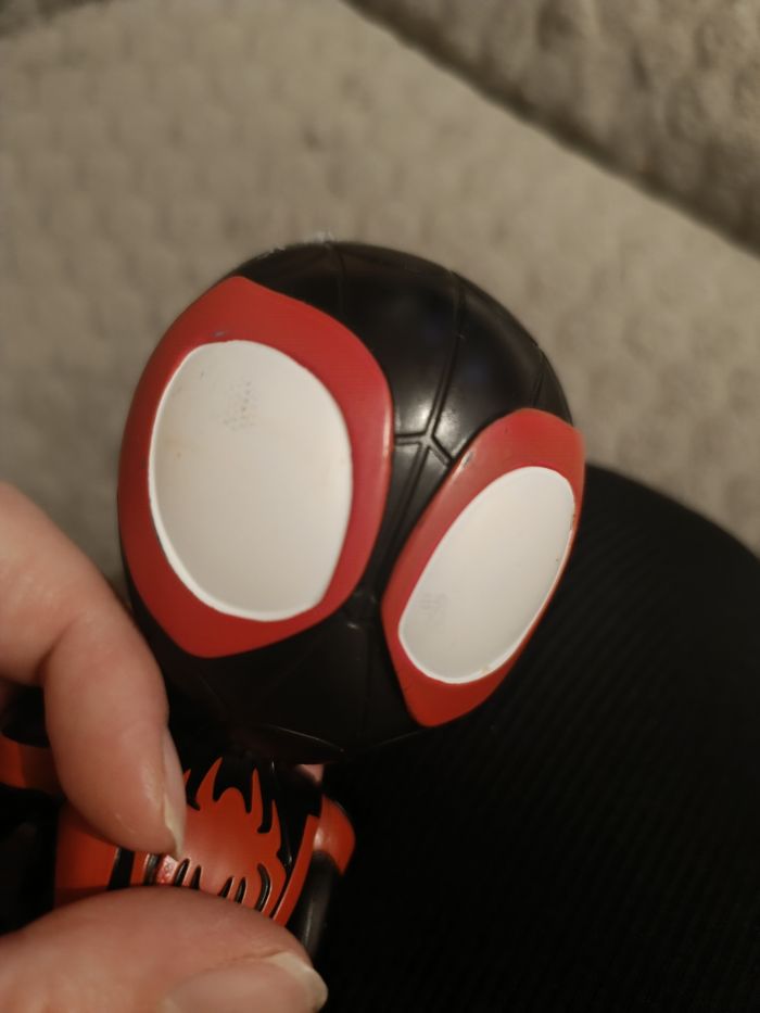 Spidey - photo numéro 3